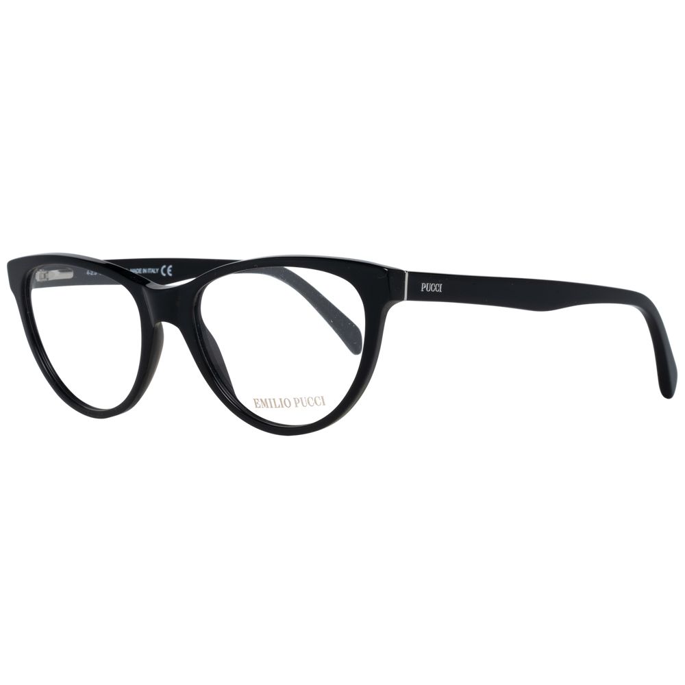 Black Plastic Glasses (Frames)